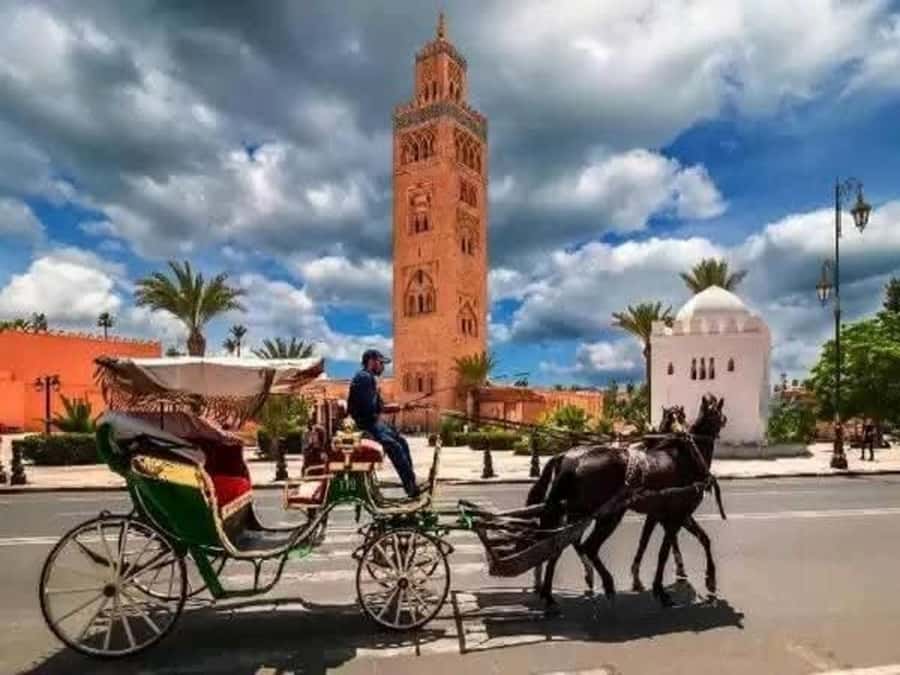 Full-Day Group Trip to Marrakech from Agadir - Is $43 good value?