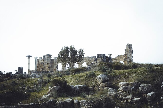 Full-Day Historical Tour to Meknes Volubilis and Moulay Idriss - What transport-only really means