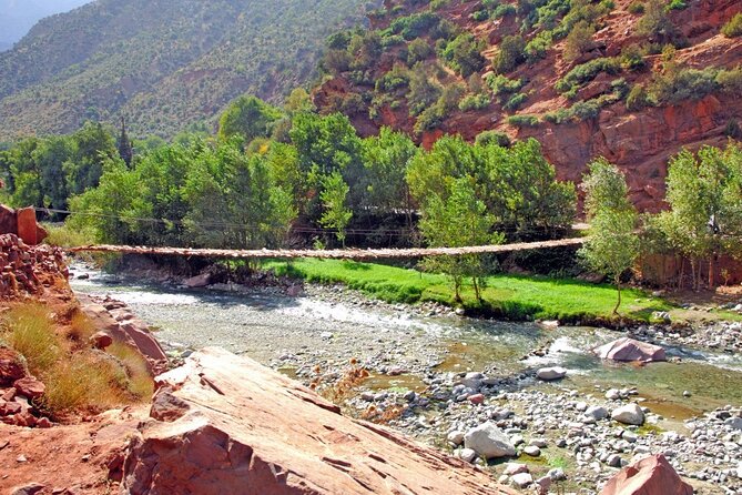 Full Day Private Berbere Experience in High Atlas - How the argan oil cooperative adds value