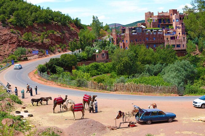 Full Day Private Berbere Experience in High Atlas - What the private format really means