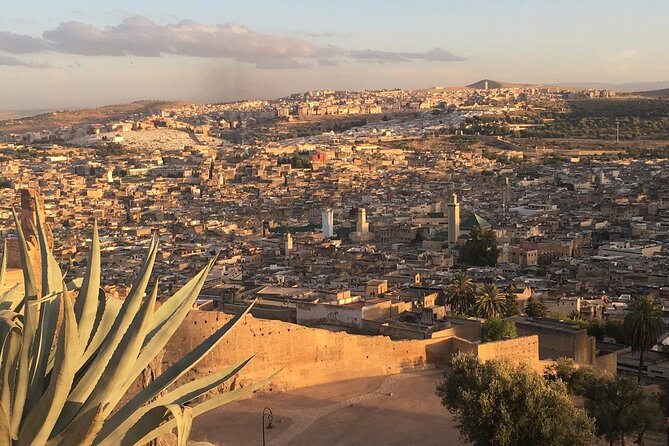 Full -Day Private Guided Walking Tour Of Fez Medina - The Fez Tanneries and the Leather Trade