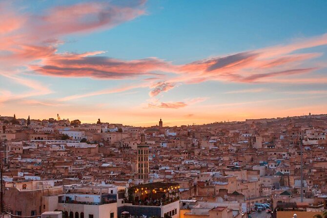 Full -Day Private Guided Walking Tour Of Fez Medina - A Pause at Jnan Sabil Garden