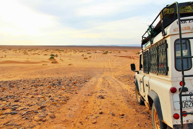 Full-Day Safari Small Desert With Lunch - The guide can make or break the day