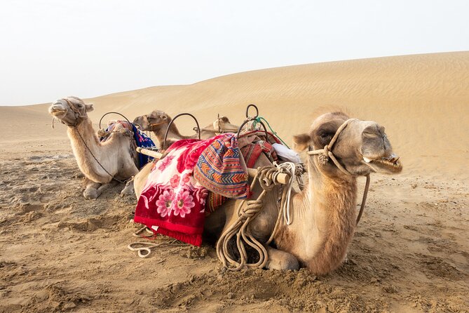 Full Day Tour to Desert Trip in Agadir with Lunch - Arbaa Rasmouka and the small desert drive