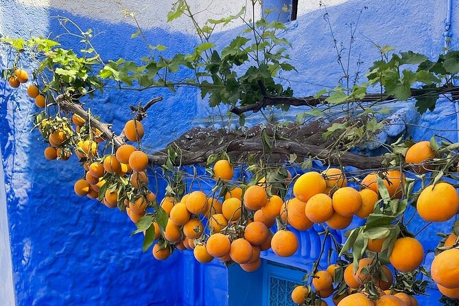 Full-Day Tour to the Blue City Chefchaouen on Small-Group - What $26.75 really buys you