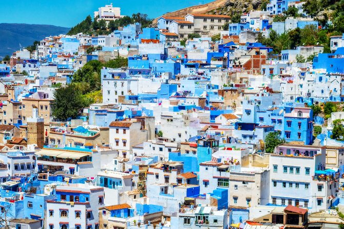 Full day trip from Fez to Chefchaouen - The Chefchaouen Panoramic Viewpoint