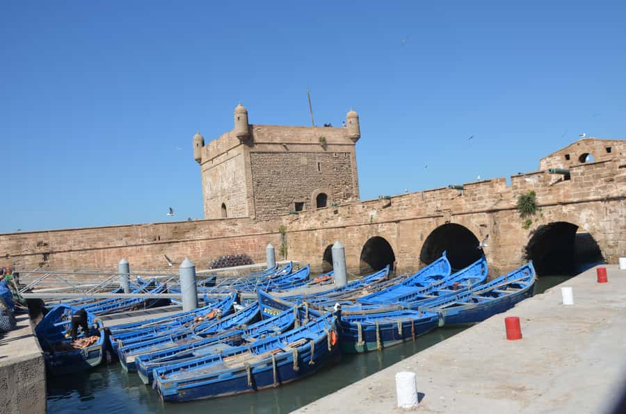 Full Day Trip From Marrakech To Essaouira - The fishing port and a self-chosen seafood lunch