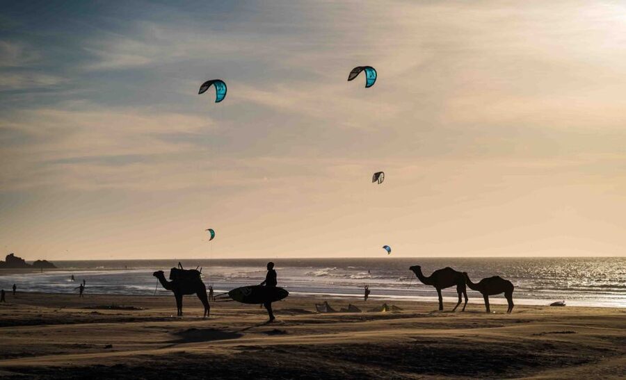 Full Day Trip From Marrakech To Essaouira - How much guidance should you expect?