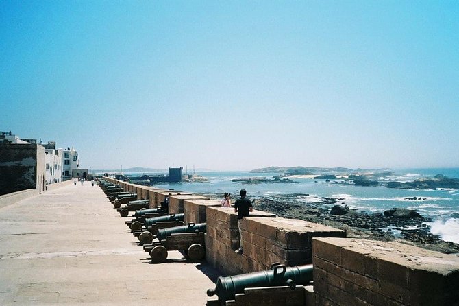 Full Day Trip To Essaouira From Marrakech - The roadside stops: argan oil, coffee, and goats