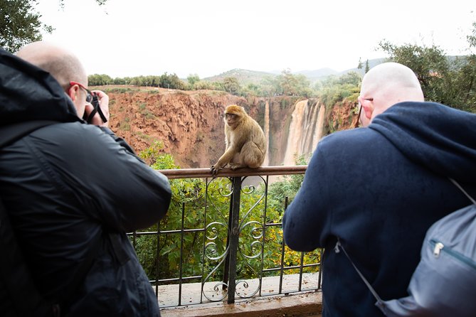 Full Day Trip To Ouzoud Waterfalls From Marrakech & Boat Tour - Guides can shape the quality of the day