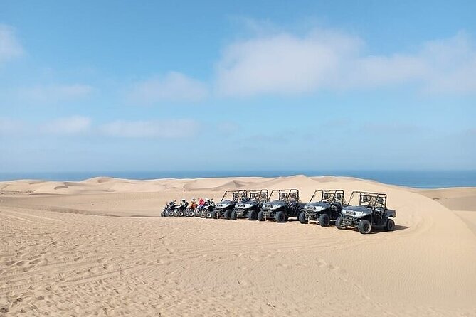 Fun buggies in Agadir Forest and Beach Dunes - Quick facts before you book