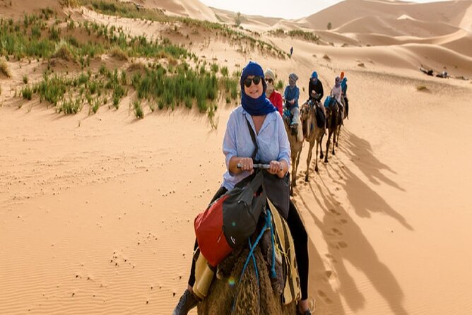 Group 3 Days Tour from Marrakech to Merzouga - Day 2: Monkey Toes, Todra Gorge, and fossil country