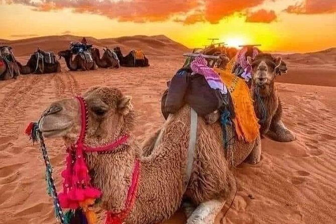 GROUP TOUR - 1 night 2 Day LUXURY Desert TRIP from FES to FES - Midelt lunch and a useful break in the drive