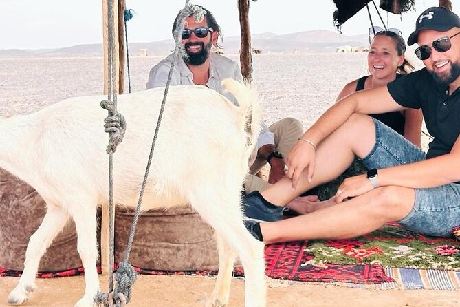 GROUP TOUR - 1 night 2 Day LUXURY Desert TRIP from FES to FES - What the luxury desert camp actually adds