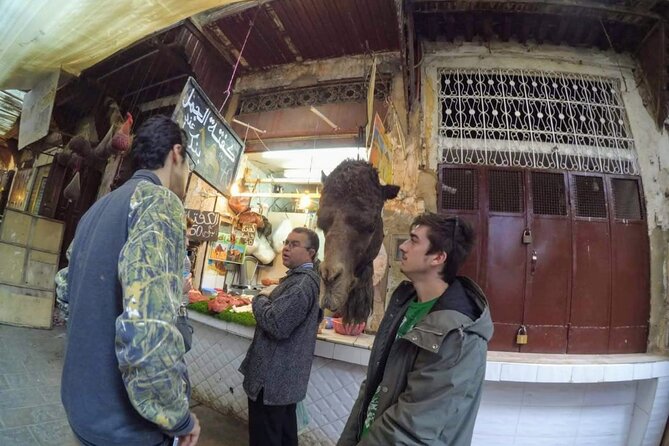 Half-Day Guided Tour in Fes - Al-Qarawiyyin, a view from the doors