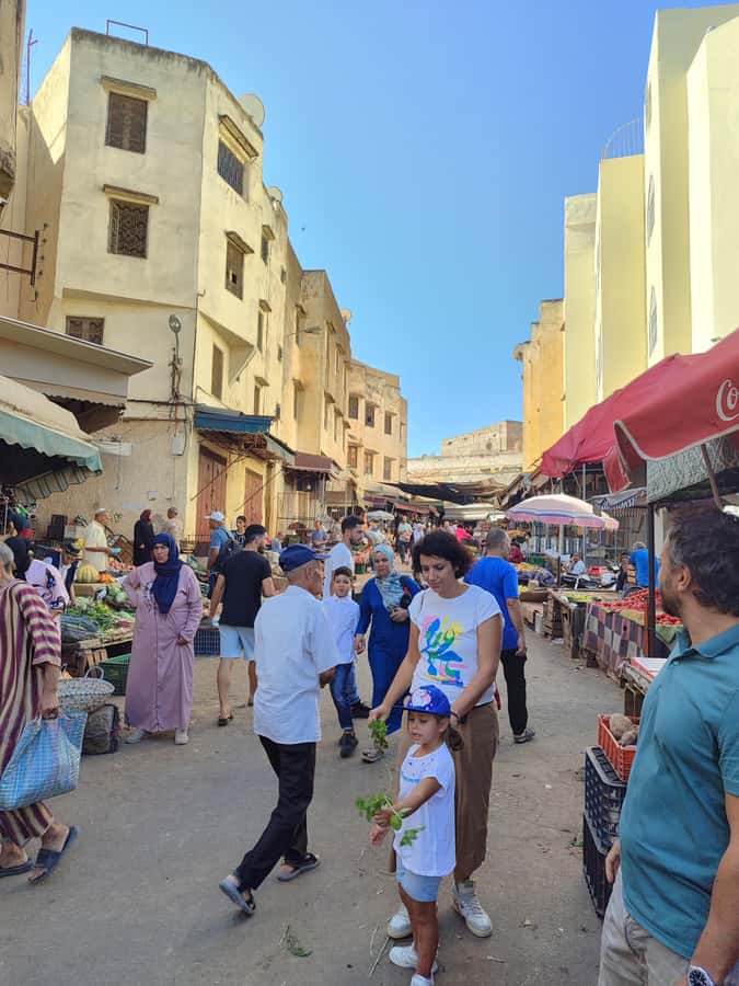 Half day guided tour in Fes Medina - Al Quaraouiyine, the intellectual heart of Fes