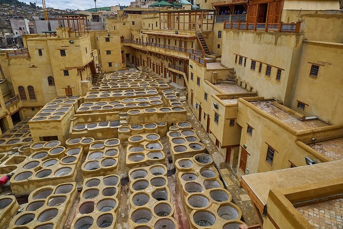 Half Day Guided Walking Tour in the Medina of Fez - Chouara Tannery and Fez’s famous leather craft