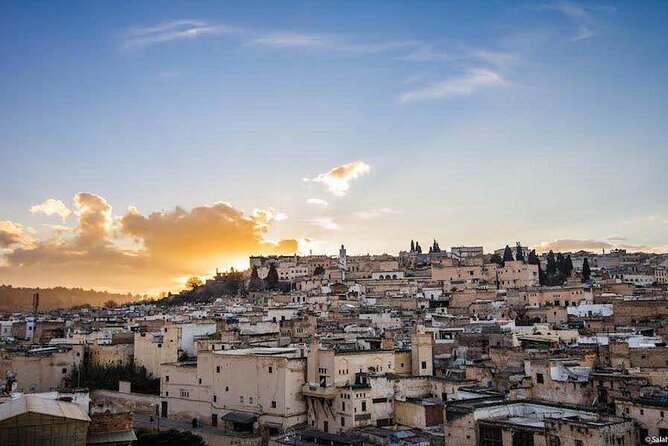 Half Day Guided Walking Tour in the Medina of Fez - One hour in the Medina’s narrow souks