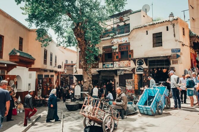 Half Day Guided Walking Tour in the Medina of Fez - Kairaouine Mosque and Fez’s scholarly tradition