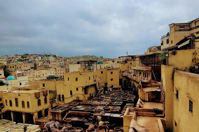 Half-Day Private Walking Tour of the Authentic City of Fez - Why this Fez walk is more than a list of monuments