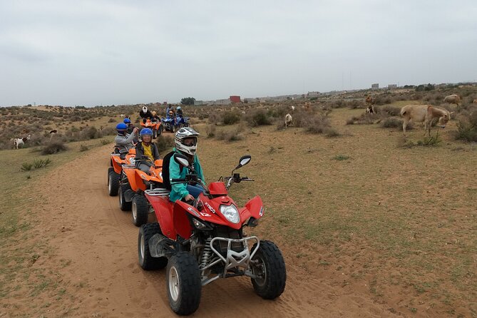 Half-day QUAD In Agadir + pick-up included from Agadir - The Berber mint-tea stop
