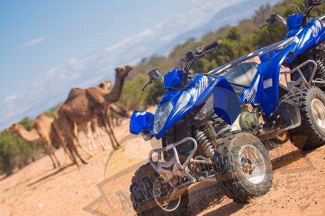Half-day QUAD In Agadir + pick-up included from Agadir - What the quad ride feels like for beginners
