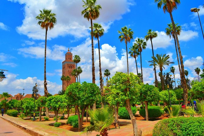 Highlights of Marrakech: Private Half-Day City Tour - Ben Youssef and the limits of the schedule