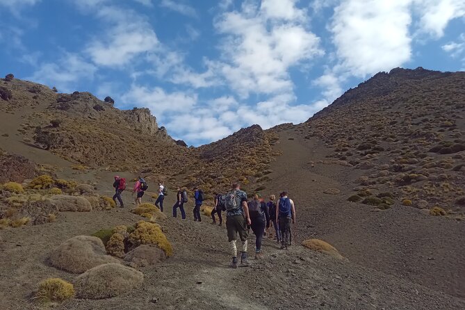 Hiking and summiting the Atlas Mountains day trip from Marrakech - Key points before you book