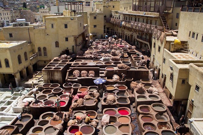 History and culture with Fes Medina private tour guide - Why a private guide matters in Fez el-Bali