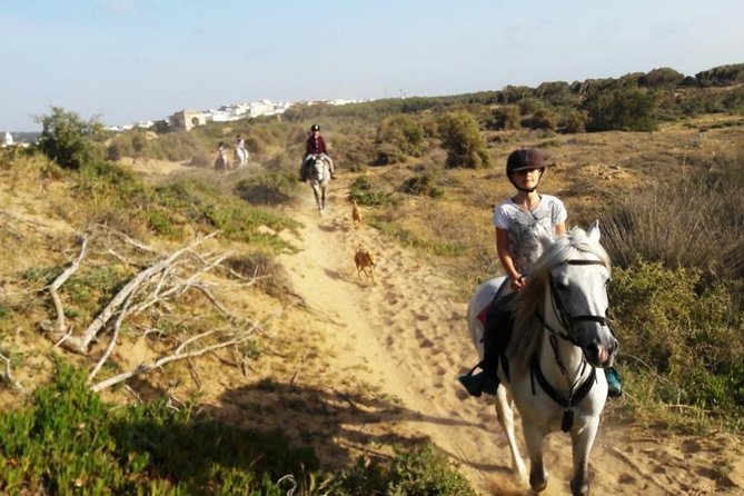 Horse Ride on the Beach in Essaouira - Forest riding with goats, camels, and donkeys