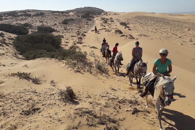 Horse Ride on the Beach in Essaouira - A private tour with real individual attention