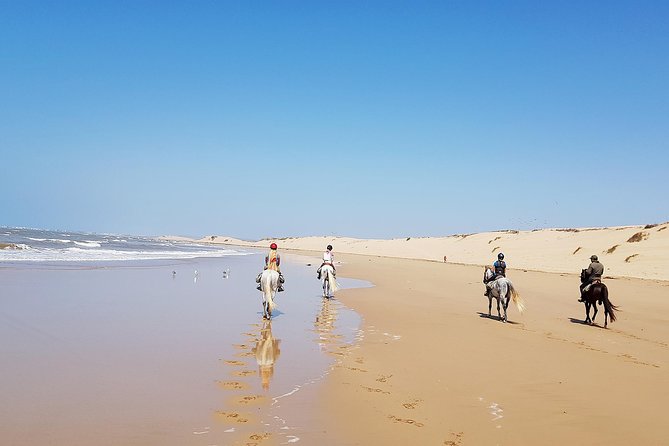 Horse Ride on the Beach in Essaouira - From Essaouira’s medina to the stable
