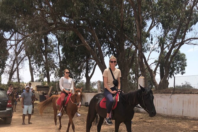 Horse Riding Agadir - Eucalyptus Trees and the Souss Massa River