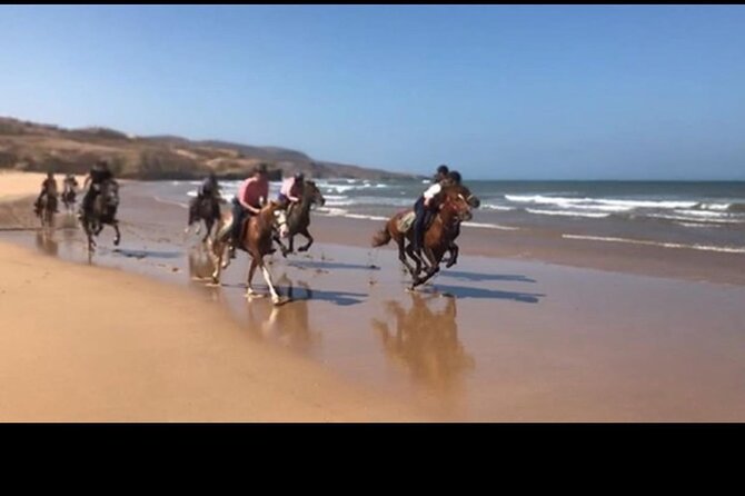 Horse Riding Agadir - Will You Actually Ride on the Beach?