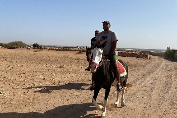 Horse Riding Agadir - Group Size and the Guide’s Role