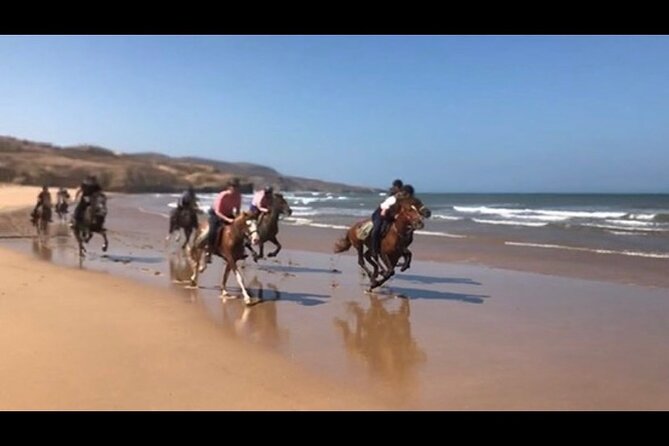Horse Riding Agadir - Pickup, Timing, and What to Wear