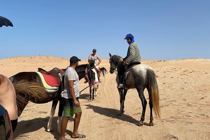 Horse Riding Agadir - Is $34.88 Good Value?