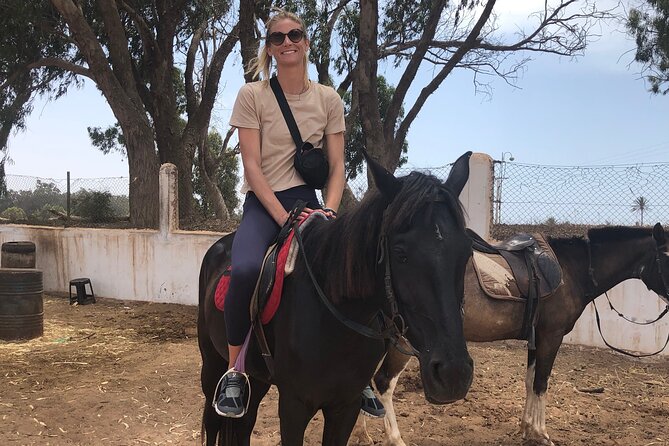 Horse Riding Agadir - Who Should Book This Agadir Horse Ride?