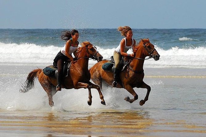 Horse Riding Agadir - Riding Levels, Horses, and Safety