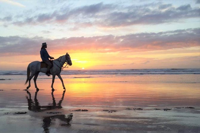 Horse riding at sunset for 2 hours - Two hours from Diabat to the Atlantic shore