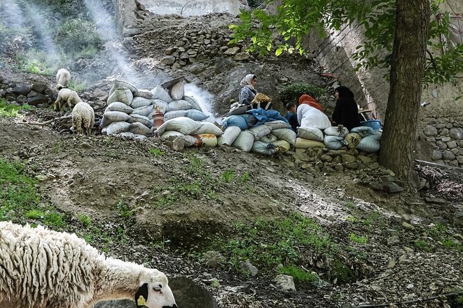 Imlil Waterfalls Day Tour from Marrakech – Nature & Local Culture - From Jemaa el-Fna to the High Atlas