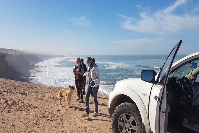 Jeep 4x4 Safari Desert Dunes & Atlantic Ocean with Berber Lunch - A short look at Souss Massa National Park