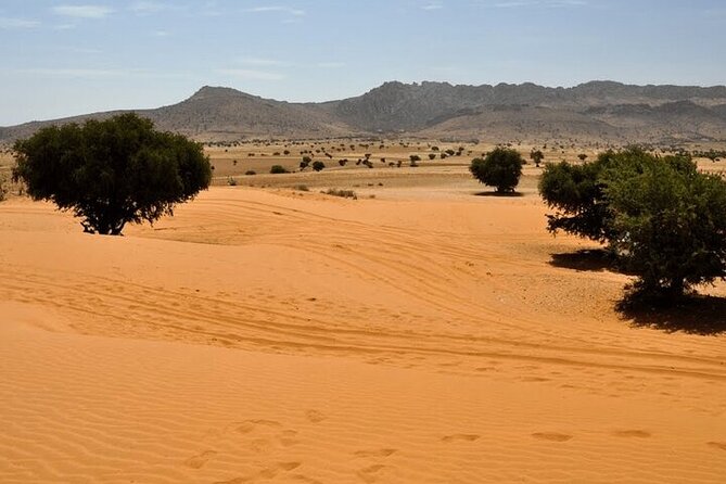 Jeep 4x4 Safari Desert Dunes & Atlantic Ocean with Berber Lunch - Water views at Youssef Ibn Tachfine Dam