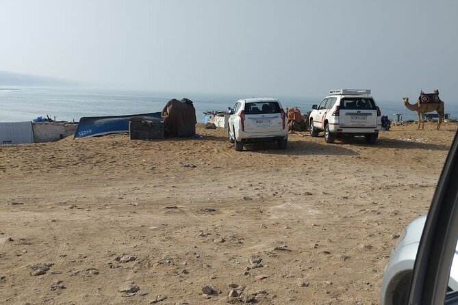 Jeep Tour to Mini Sahara With Lunch Small group - The Mini Sahara and the scorpion man