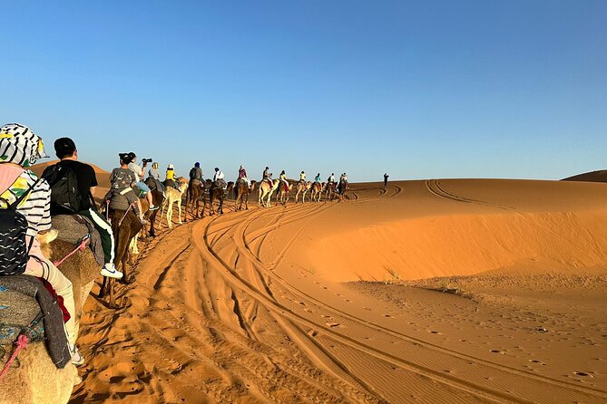 LET'S GO Tour MARRAKECH to DESERT TO FES 3 Days - Day two: Todra Gorge, fossils, and Erg Chebbi