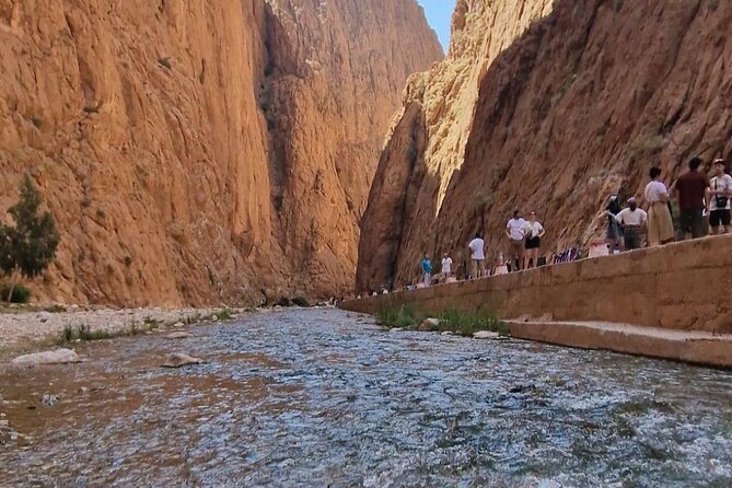 LET'S GO Tour MARRAKECH to DESERT TO FES 3 Days - Should you book the Marrakech to Fes desert tour?