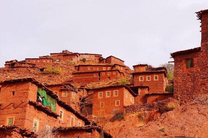 Lunch in the High Atlas: Ourika Valley Waterfalls & 3 Valleys - The argan oil stop and Moroccan tea