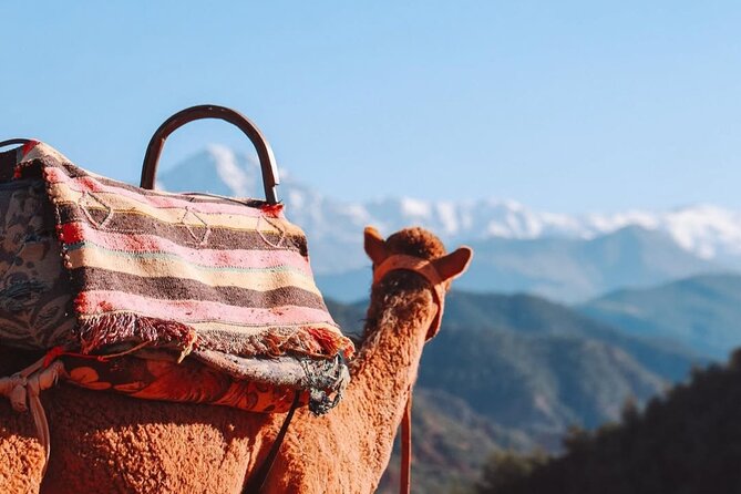 Lunch in the High Atlas: Ourika Valley Waterfalls & 3 Valleys - Music, dancing, and the fire show