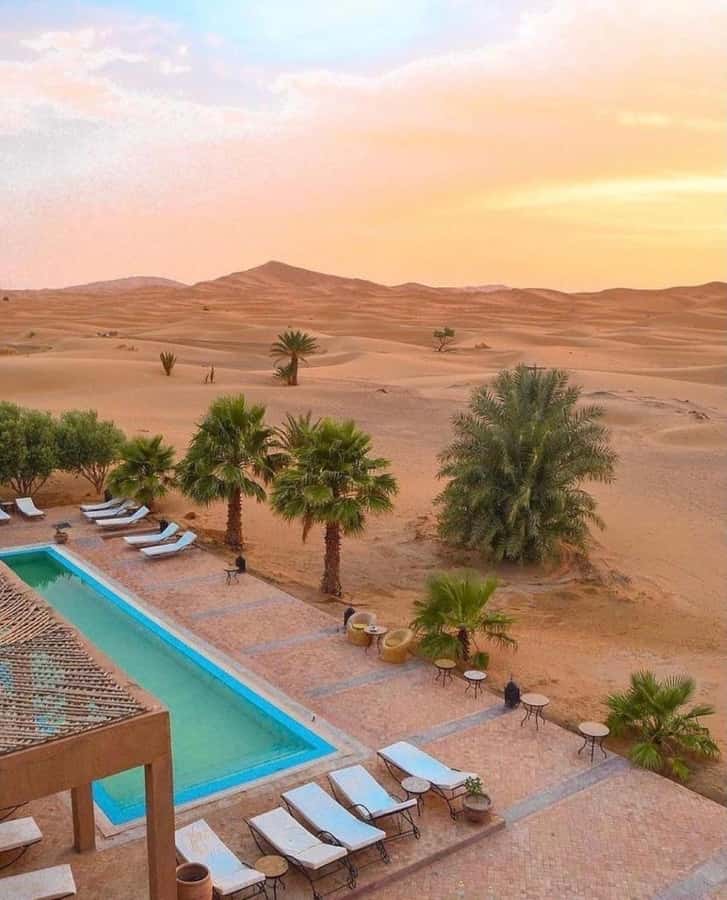 Lunch & Swimming Camel Ride and Quad Biking in Agafay - Who will enjoy this Agafay outing?