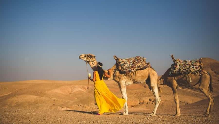 Lunch & Swimming Camel Ride and Quad Biking in Agafay - Agafay, Morocco’s close-to-Marrakech desert